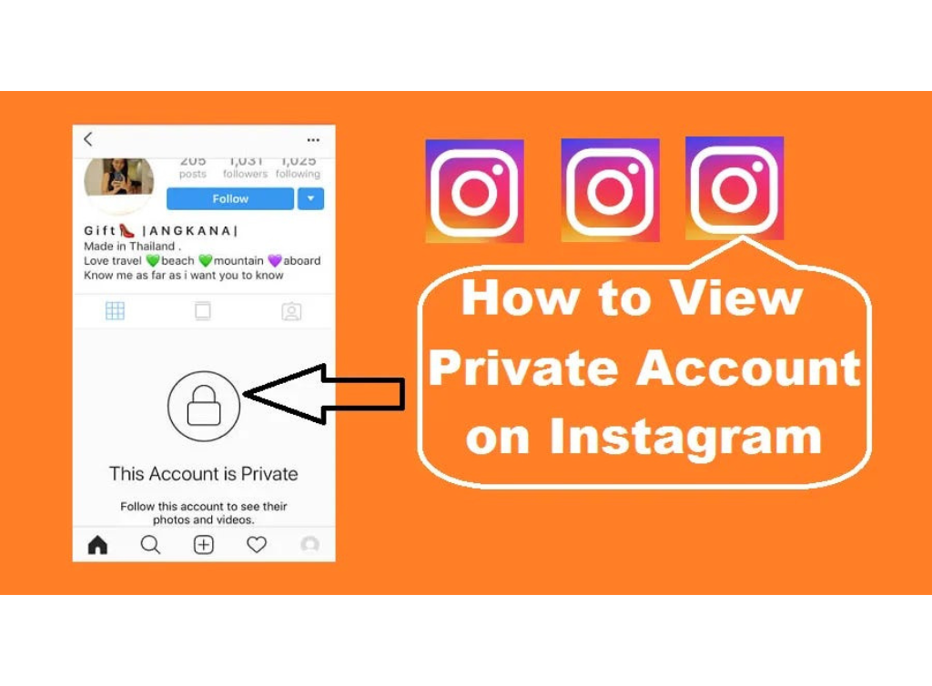 Private Instagram Viewer Without Human Verification Unlocking the secret