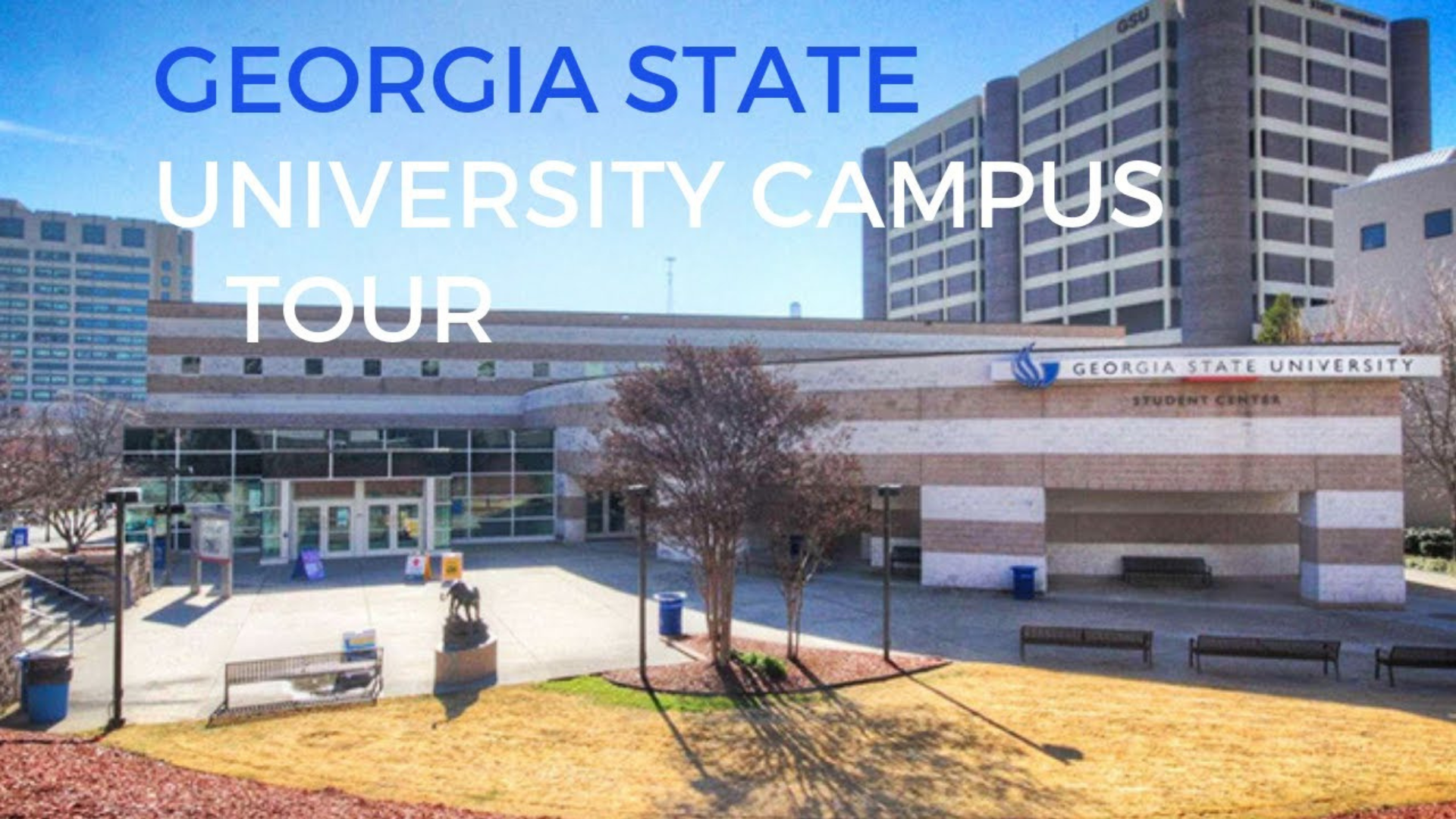 Georgia State Universities: Exploring the Educational