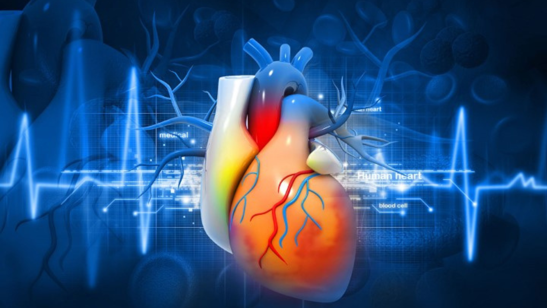 Heart valve replacement When and Why It’s Necessary